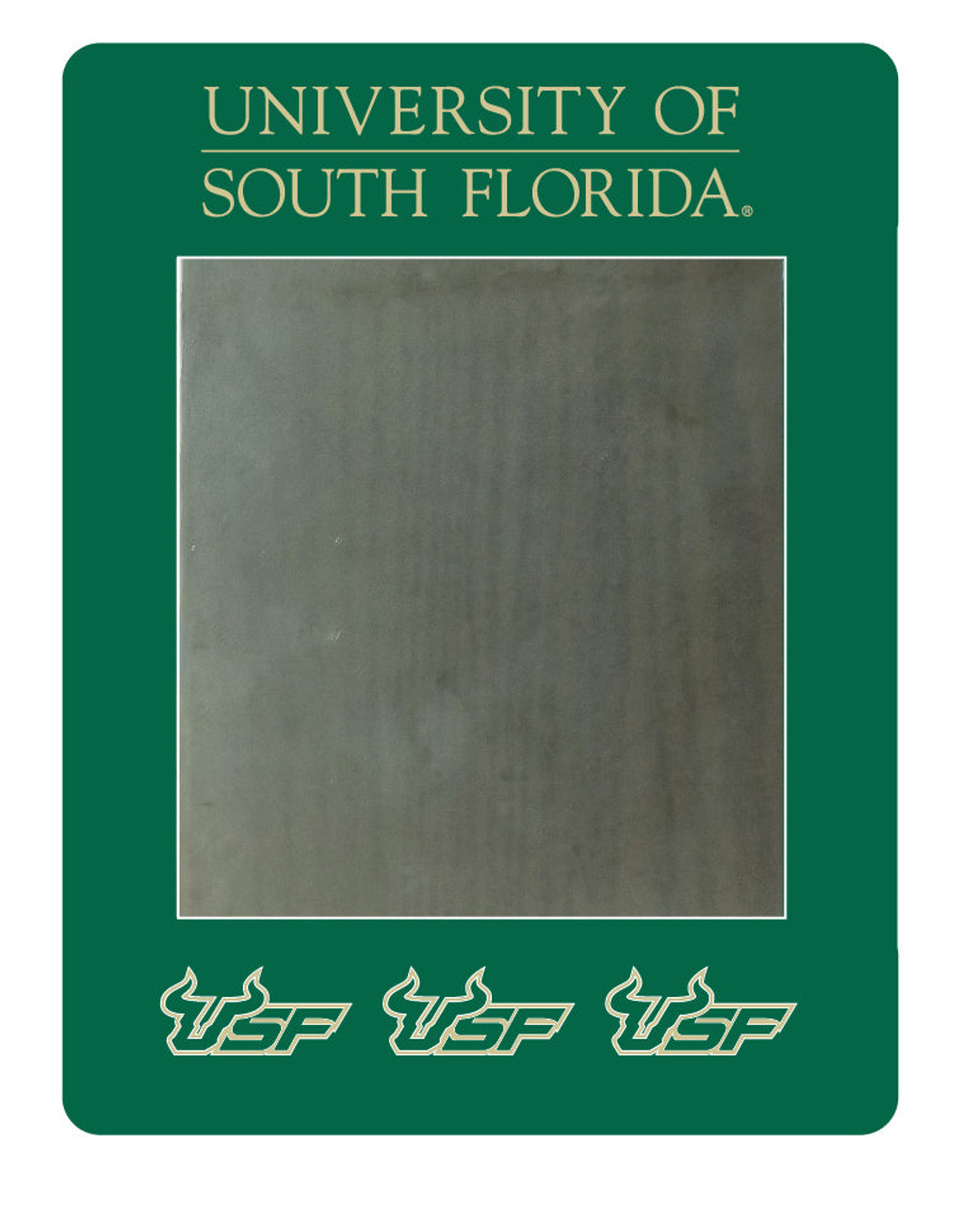 South Florida Bulls Magnetic Locker Mirror