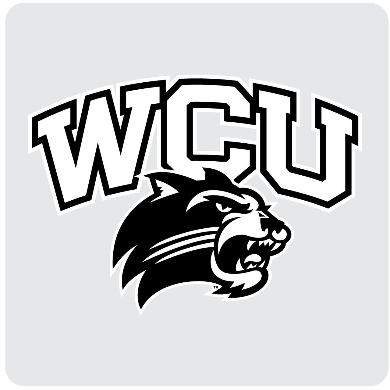 Western Carolina University Coasters Choice of Marble of Acrylic