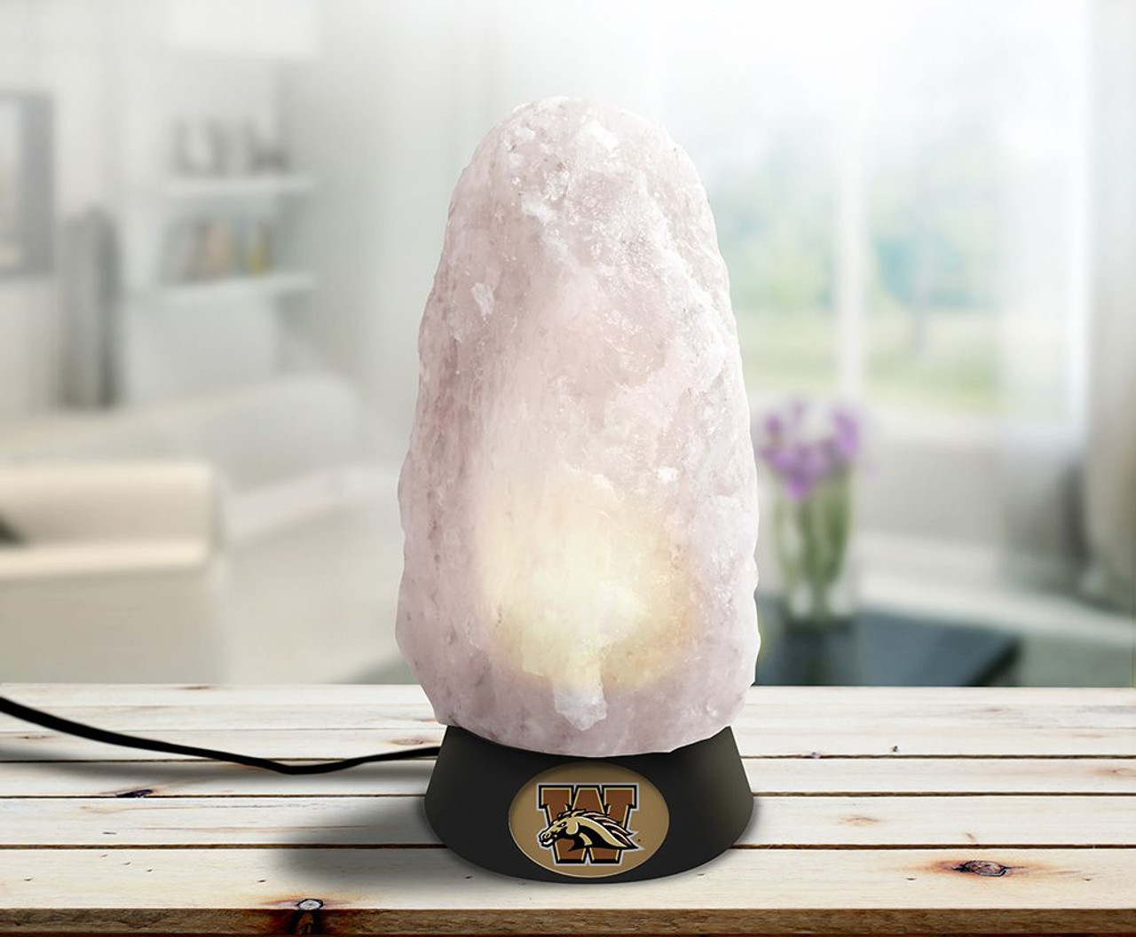 Western Michigan WMU Broncos Himalayan Salt Rock