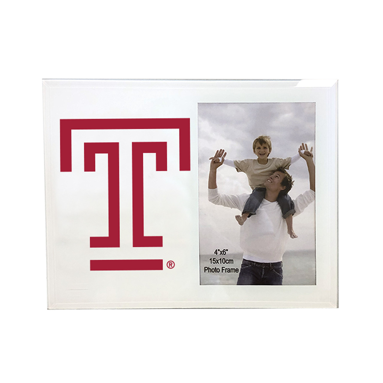 Temple Owls 4 x 6 Glass Photo Frame