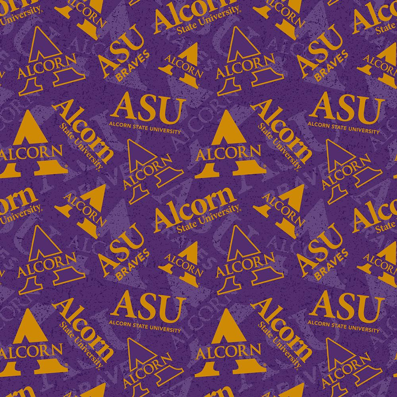 Alcorn State University Braves Apparel – Official Team Gear