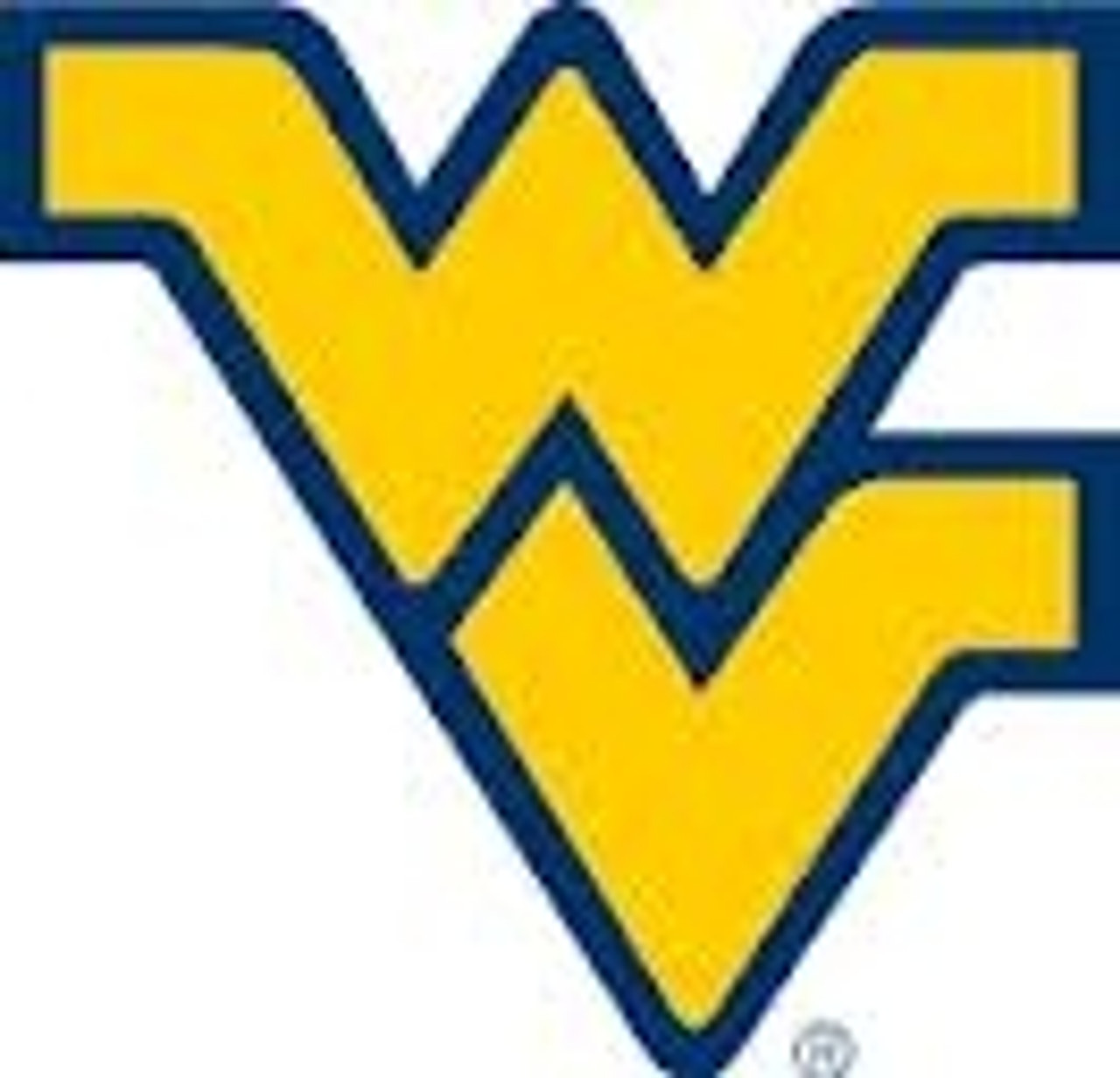 University of West Virginia Fabric Ribbon-licensed NCAA West Virginia  Mountaineers WVU Grosgrain Ribbon 1 Inch Width 