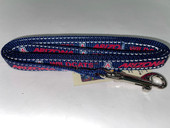 University of Arizona Dog Leash