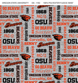NCAA Oregon State Beavers Collegiate Beaver Mini Stencil Kit