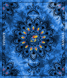 Officially Licensed Minky Fleece Kansas Jayhawks Wall Tapestry and Throw Blanket-48" x 56" Officially Licensed Minky Fleece Kansas Jayhawks Wall Tapestry and Throw Blanket-48" x 56"