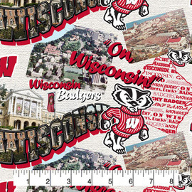 University of Wisconsin Badgers Cotton Fabric with Scenic Map Print University of Wisconsin Badgers Cotton Fabric with Scenic Map Print