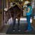 Horse and rider standing on Horse Stall Heavy-Duty Rubber Mat