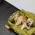 Dog laying in dog bed on Black Diamond-Grip floor