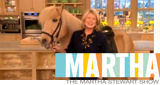 Martha Ground Protection Mat Martha Stewart in front of a Horse