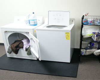 Shark Tooth rubber mat under open washing machine and loaded dryer