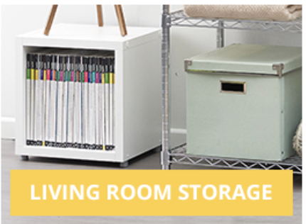 Living room storage