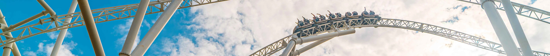 Case Study - Theme Park