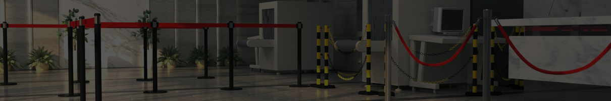 Public Sector Inspiration