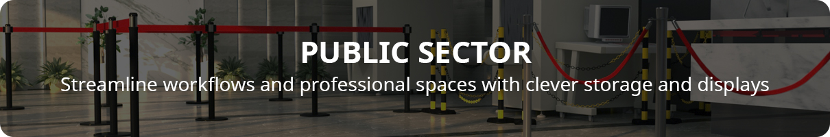 Public Sector header image
