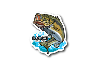 Orange Teal Trout Fishing Line Box Sticker - WHOLESALE • MICHCAMO®