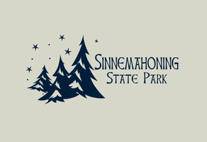Pine Trees with Stars Screen Printed Hat Pine Trees with Stars Screen Printed Hat