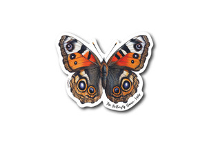 Buckeye Butterfly Die Cut Sticker Buckeye Butterfly Die Cut Sticker
