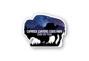 Dark Sky Buffalo Southwest Landscape