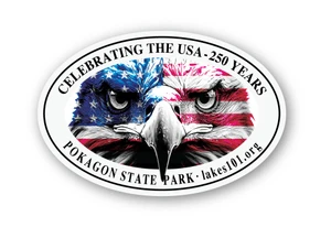Eagle Eyes Flag 4x6 Sticker