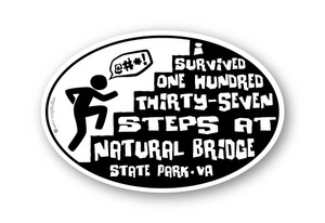 Wholesale I Survived Climbing Steps Sticker Wholesale I Survived Climbing Steps Sticker