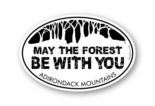 May the Forest Be With You Adirondack Mountains