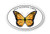 Wholesale Monarch Butterfly Sticker Wholesale Monarch Butterfly Sticker