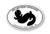 Wholesale Hellbender Defender 4x6 oval Sticker Wholesale Hellbender Defender 4x6 oval Sticker