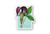 Jack-In-The-Pulpit Sticker 