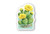 Prickly Pear Sticker 
