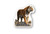 TIGER Sticker