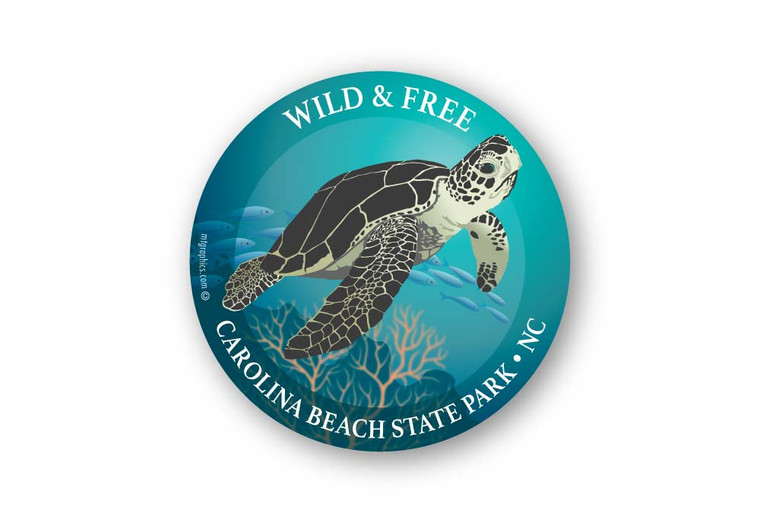 Wholesale Sea Turtle Sticker - Round