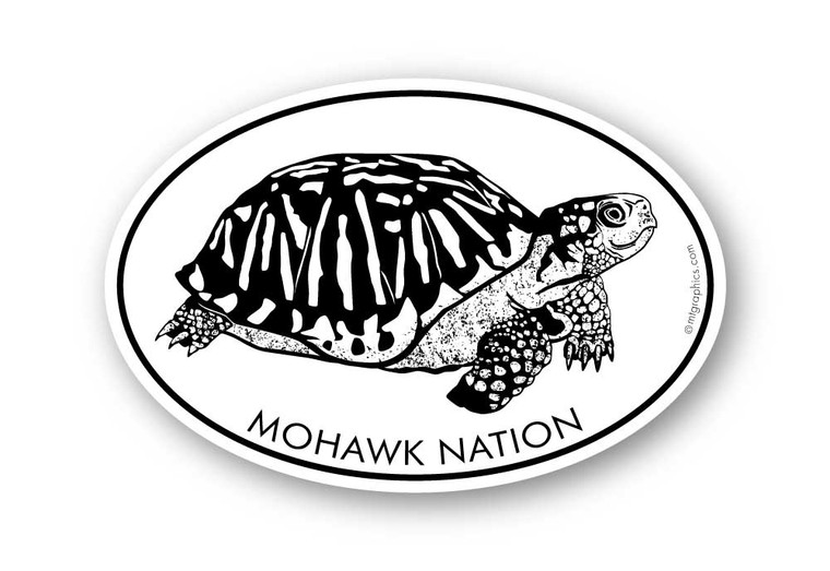 Wholesale Box Turtle Sticker