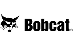 Bobcat