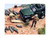 4X4 Mechanics 2 Piece Diecast Figure Set 1 for 1/43 Scale Models American Diorama AD43001