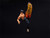 Fei Long 6 Moveable Figure with Accessories and Alternate Head and Hands Ultra Street Fighter II The Final Challengers 2017 Video Game model Jada 34217