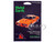 Model Kit 1969 Pontiac GTO Judge Orange with Black Stripes Moderate Difficulty Steel Model Metal Earth ME1027