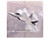 Lockheed Martin F 22A Raptor Aircraft Spirit of America 412th Test Wing Edwards Air Force Base 1997 United States Air Force 1/100 Diecast Model Airplane FS041B