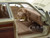 1979 Chrysler Lebaron Town & Country Cream 1/24 Diecast Model Car Motormax 73331