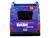 New Flyer Xcelsior XN40 Transit Bus DASH Pride Livery Blue with Rainbow Graphics The Bus & Motorcoach Collection Limited Edition 1/64 Diecast Model Iconic Replicas 87-0609