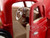 1940 Ford Pickup Truck Red 1/24 Diecast Model Car Motormax 73234