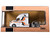 2018 Freightliner Cascadia Truck Tractor White with Black and Orange Stripes 1/64 Diecast Model IXO Models 64TR013A