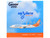 Boeing 737 800 Commercial Aircraft Air North C FNYA White with Orange Tail Gemini 200 Series 1/200 Diecast Model Airplane GeminiJets G2ANT1491