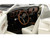 1969 Ford Mustang BOSS 429 KK1201 Prototype Unrestored Barn Find White with Black Hood Limited Edition to 360 pieces Worldwide 1/18 Diecast Model Car ACME A1801891