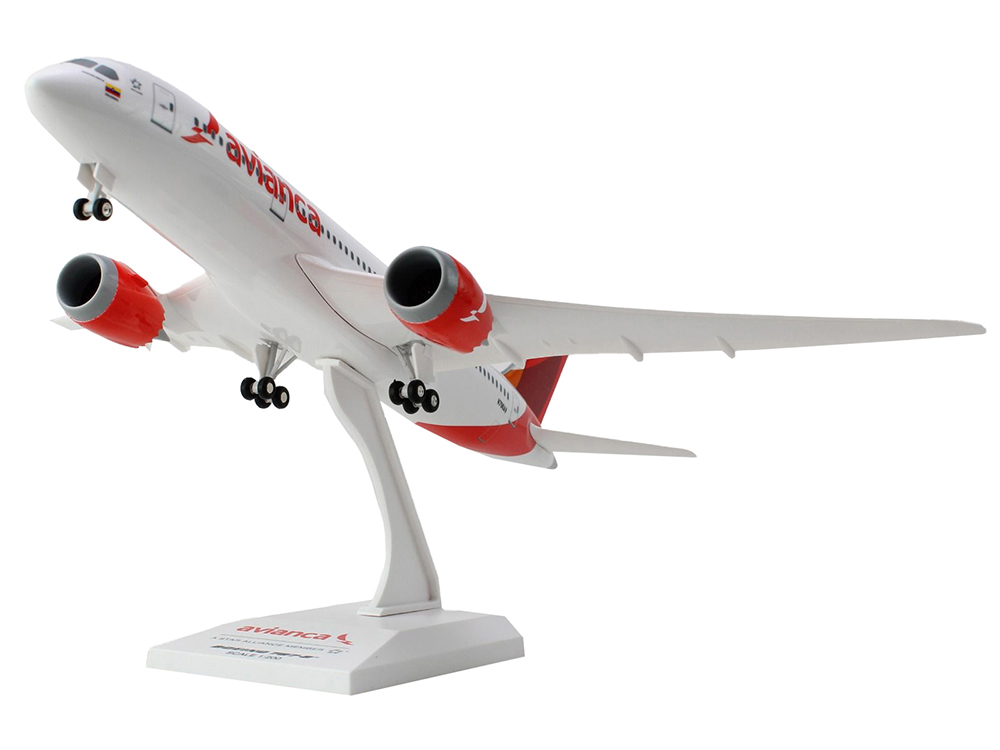 Boeing 787-8 Commercial Aircraft 