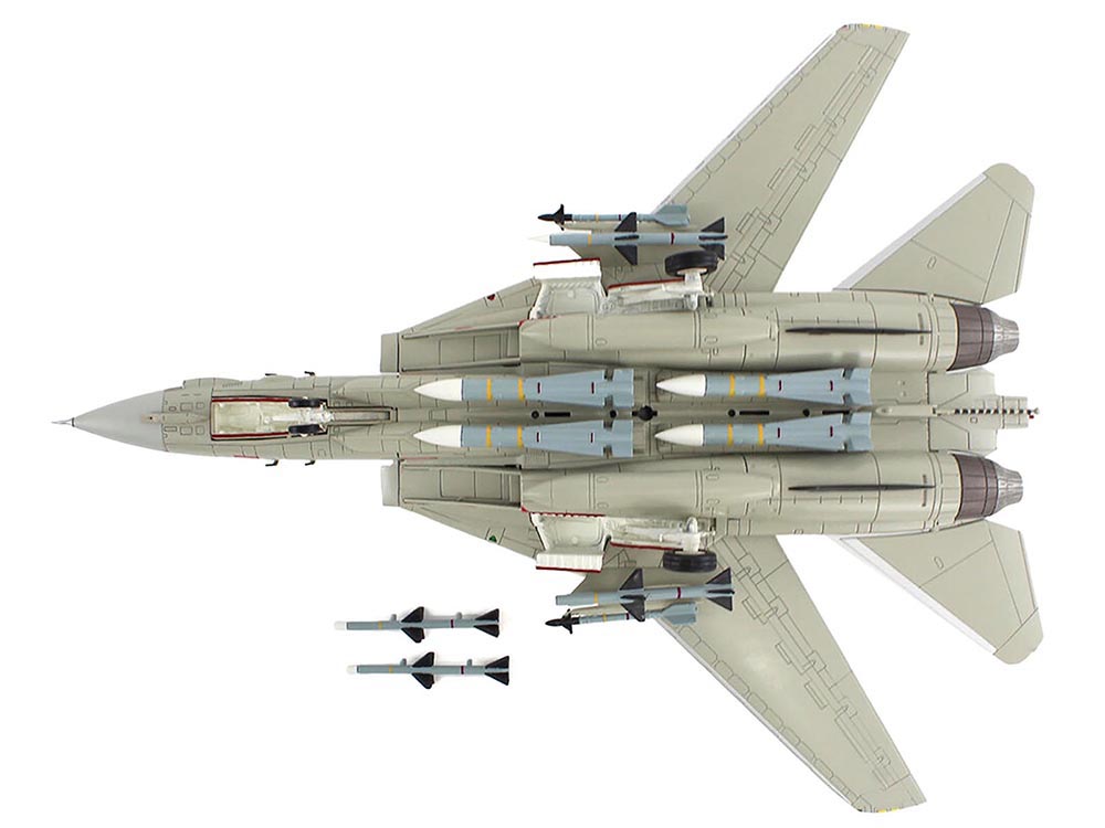 Grumman F-14A Tomcat Fighter Aircraft 