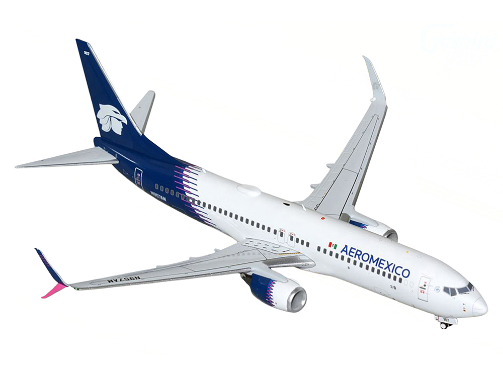 Boeing 737-800 Commercial Aircraft 