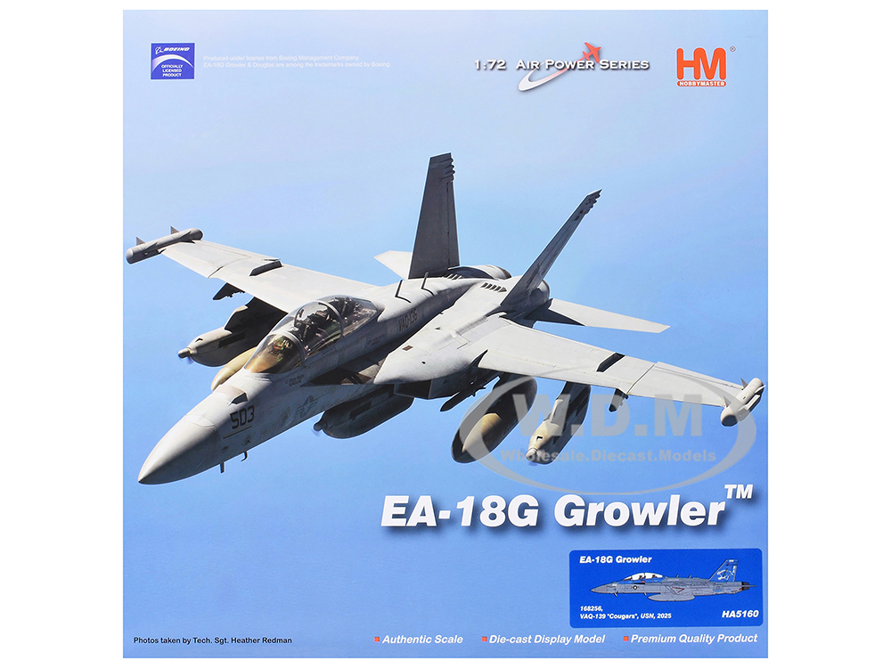 Boeing EA-18G Growler Aircraft 