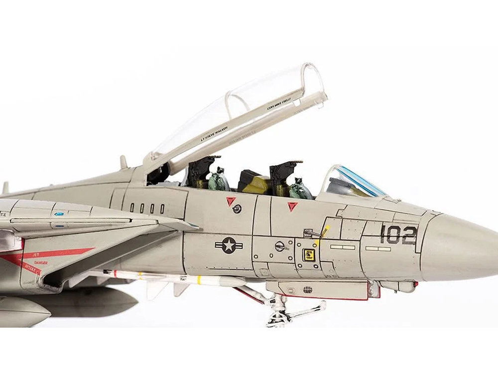 Grumman F-14A Tomcat Fighter Aircraft 