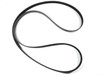 Serpentine Belt - ERR6896