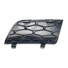 Bumper Inlet Grill - DXB500350PUY